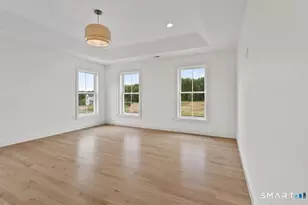 Lot 1 Taylor Rd, Colchester, CT 06415 - Photo 13