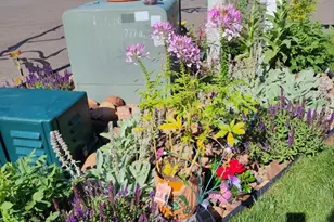 2 Bushel Rd, Plainville, CT 06062 - Photo 37