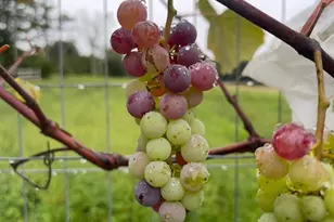 12 Jackson Rd, Killingworth, CT 06419 - Photo 39