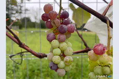 12 Jackson Road, Killingworth, CT 06419 - Photo 37