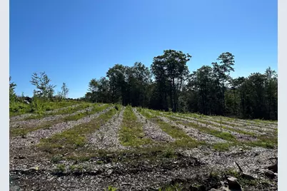 00 Prock Hill Road, Colebrook, CT 06021 - Photo 3