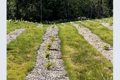 00 Prock Hill Road, Colebrook, CT 06021 - Photo 9