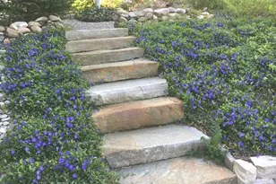 145 Lakeview Terrace, Newtown, CT 06482 - Photo 39