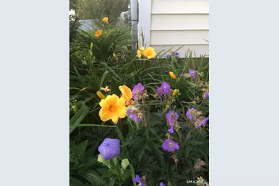 58 Morning Glory Drive, Middletown, CT 06457 - Photo 11