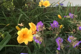 58 Morning Glory Dr, Middletown, CT 06457 - Photo 11