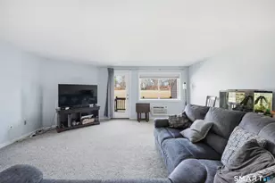 19 Chelsea Ln, East Granby, CT 06026 - Photo 7