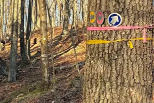 319 Laurelwood Dr, Salem, CT 06420 - Photo 27