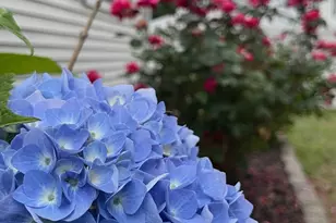 32 Jackson Rd, Enfield, CT 06082 - Photo 15