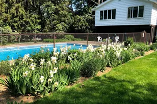 15 Very Merry Rd, Stamford, CT 06903 - Photo 37