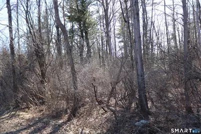 Ashley Drive, Goshen, CT 06756 - Photo 5