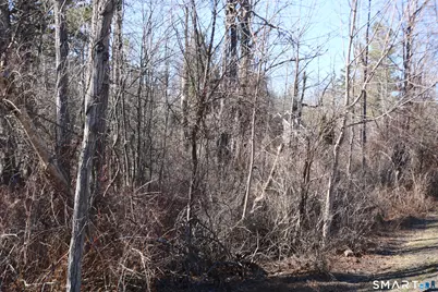 Ashley Drive, Goshen, CT 06756 - Photo 3