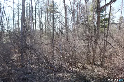 Ashley Drive, Goshen, CT 06756 - Photo 7