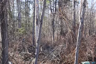 Ashley Dr, Goshen, CT 06756 - Photo 1