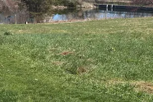 29 Heritage Vlg, Southbury, CT 06488 - Photo 33