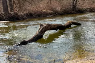 130 Paper Mill Rd, New Milford, CT 06776 - Photo 17