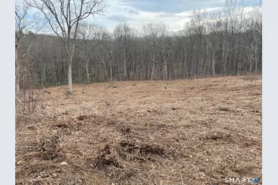 197 Tinker Hill Road, Washington, CT 06777 - Photo 23