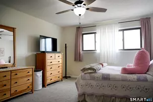 233 Shagbark Dr, Derby, CT 06418 - Photo 21