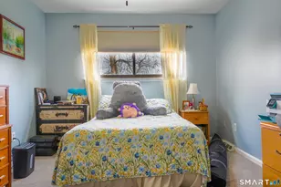 233 Shagbark Dr, Derby, CT 06418 - Photo 15