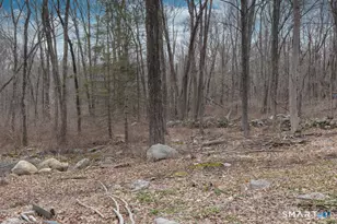 113 W High St, East Hampton, CT 06424 - Photo 31