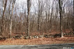 410 Tobacco St, Lebanon, CT 06249 - Photo 17