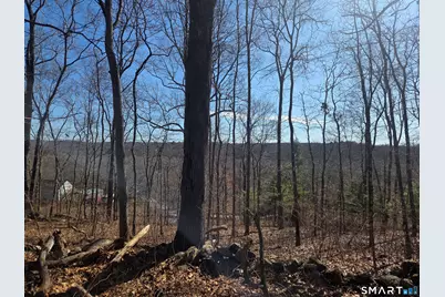 0 Green Hollow Road Road, Plainfield, CT 06354 - Photo 5