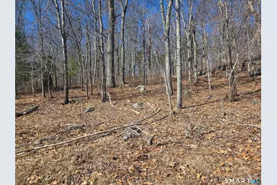 0 Green Hollow Road Road, Plainfield, CT 06354 - Photo 7