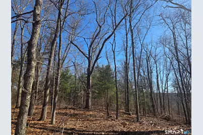 0 Green Hollow Road Road, Plainfield, CT 06354 - Photo 1