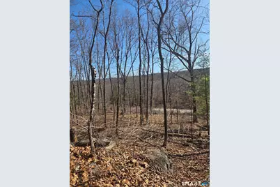 0 Green Hollow Road Road, Plainfield, CT 06354 - Photo 9
