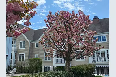 77 Havemeyer Lane #310, Stamford, CT 06902 - Photo 5