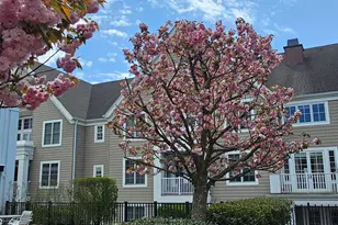 77 Havemeyer Ln, Stamford, CT 06902 - Photo 5