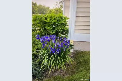 1 Magnolia Circle #1, Farmington, CT 06032 - Photo 25