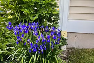 1 Magnolia Cir, Farmington, CT 06032 - Photo 25