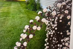 1 Magnolia Cir, Farmington, CT 06032 - Photo 27