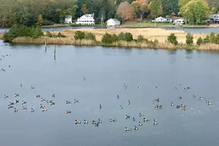 149 Whitehall Ave, Stonington, CT 06355 - Photo 33