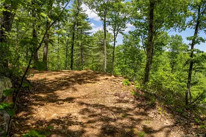 13 Dew Road, Barkhamsted, CT 06063 - Photo 5