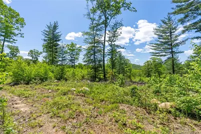 13 Dew Road, Barkhamsted, CT 06063 - Photo 11