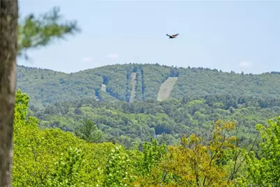 13 Dew Road, Barkhamsted, CT 06063 - Photo 7