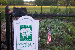 5 Haskins Rd, Windsor, CT 06095 - Photo 7