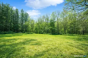 159 Merryall Rd, New Milford, CT 06776 - Photo 15