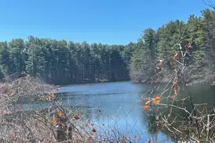 156 Mather St, Hamden, CT 06517 - Photo 29