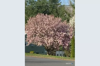 383 Lincoln Drive, Cheshire, CT 06410 - Photo 31