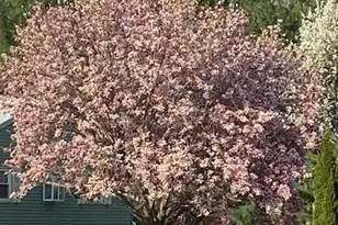 383 Lincoln Dr, Cheshire, CT 06410 - Photo 31