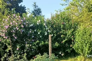 9 Warriner Ave, Enfield, CT 06082 - Photo 29