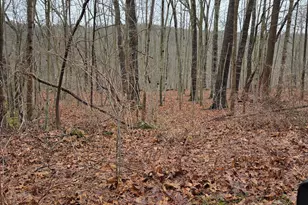 165 Housatonic Trail, Southbury, CT 06488 - Photo 1