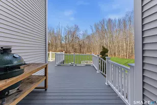 4B Turkey Roost Rd, Newtown, CT 06482 - Photo 27