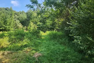 5 Avery St Ext, Norwich, CT 06360 - Photo 15