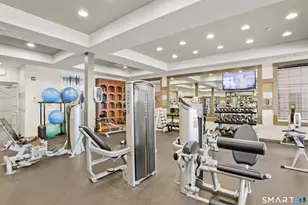 48 Winding Ridge Way, Danbury, CT 06810 - Photo 31