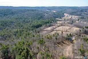 19 Hollenbeck Rd, Cornwall, CT 06031 - Photo 31