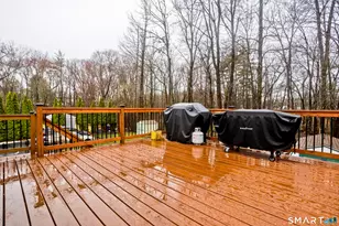 307 Clark St, South Windsor, CT 06074 - Photo 35