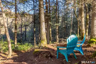 6 Kubish Rd, Litchfield, CT 06759 - Photo 29